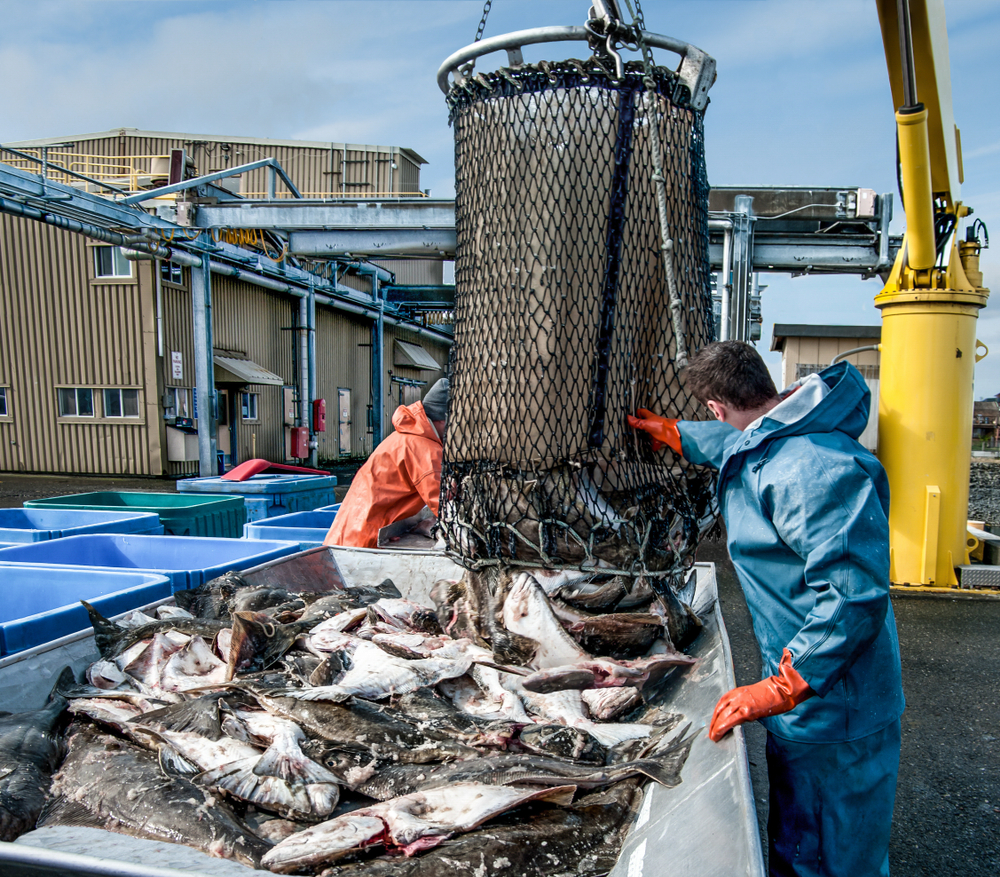 Research Shows 50% of Marine Accidents Involve Commercial Fishing